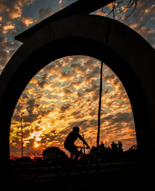 Inauguración de la Muestra “Oro Verde, mirá como te miro”