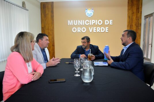 Transporte del área Metropolitana: se reunieron los intendentes y el secretario de Transporte de la Provincia