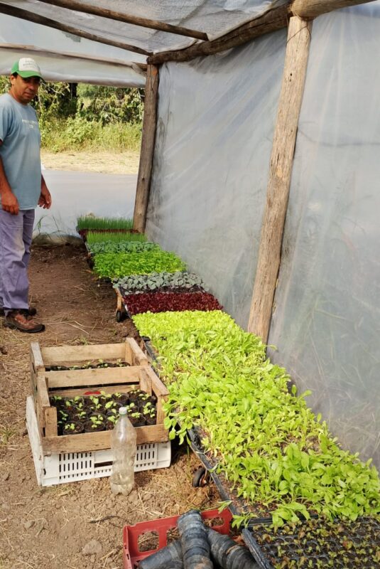 Venderán verduras agroecológicas cultivadas en el Parque Hortícola municipal
