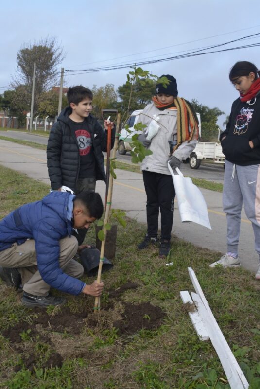 Segunda jornada de plantación de árboles con escuelas de la localidad y la región