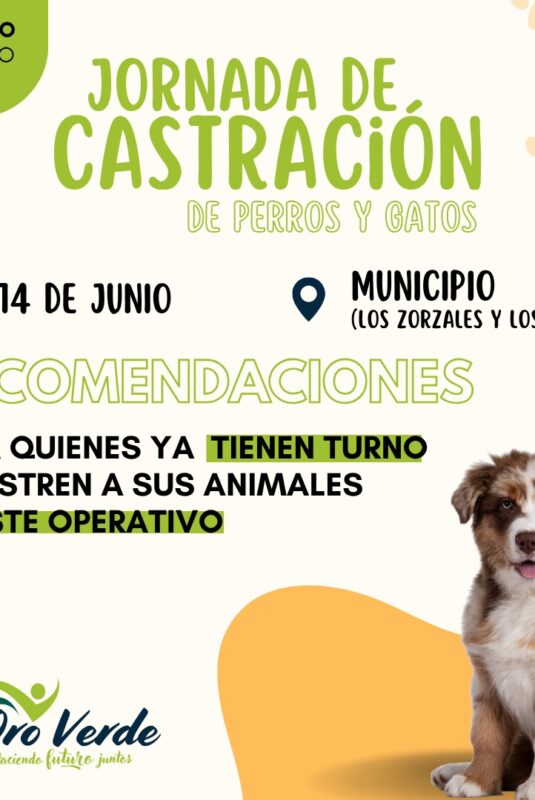 Recomendaciones para el Operativo de Castración de este sábado