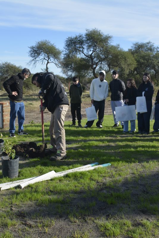 Plantan árboles en el Paseo Oasis junto a la Escuela Rosario Vera Peñaloza
