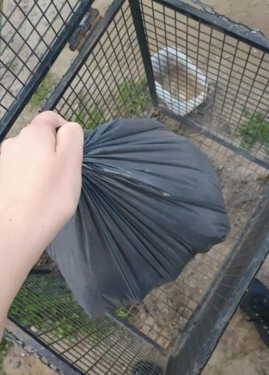 En Oro Verde será obligatorio contar con cestos de basura en el frente de los domicilios