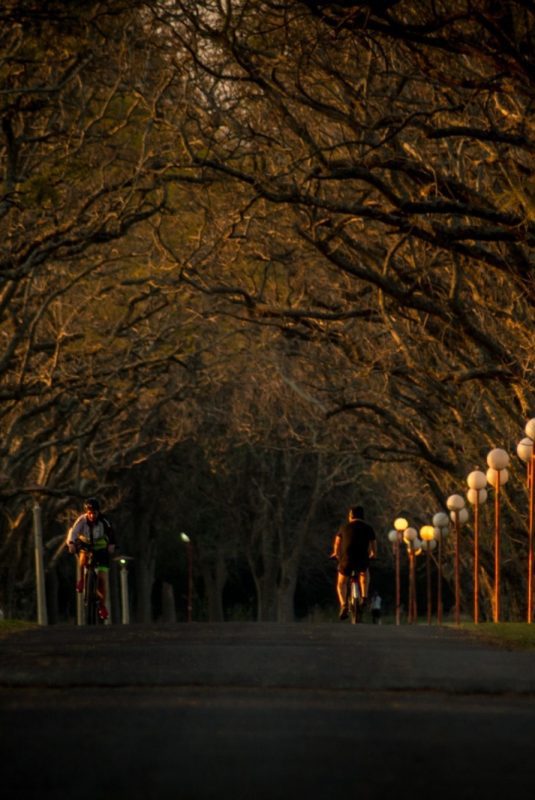 Una nueva edición del Concurso Fotográfico “Oro Verde, mirá cómo te miro”