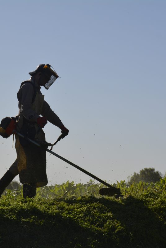 El Municipio desmaleza los diferentes sectores de Oro Verde