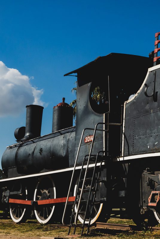 Ganadoras y ganadores de la cuarta edición del concurso fotográfico “Oro Verde, mirá cómo te miro”