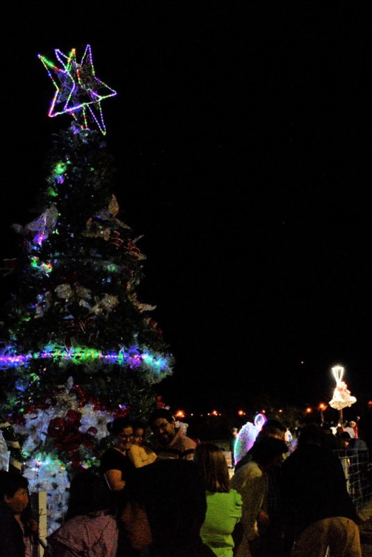 Bendición del pesebre, encendido del árbol y Paseo navideño