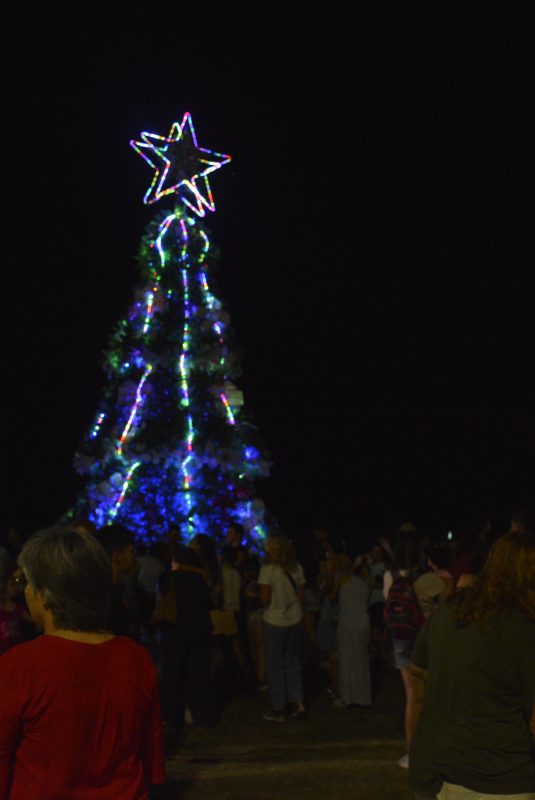 Oro Verde encendió la navidad