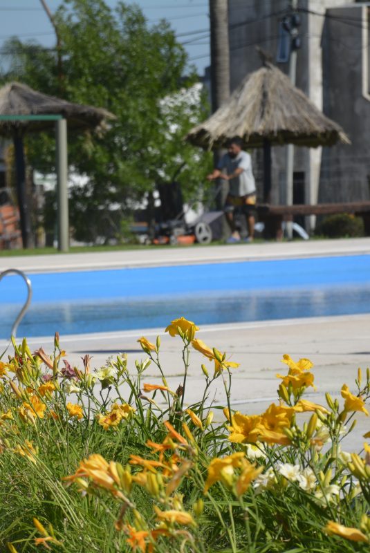 El Complejo de Piletas municipal puede disfrutarse todos los días