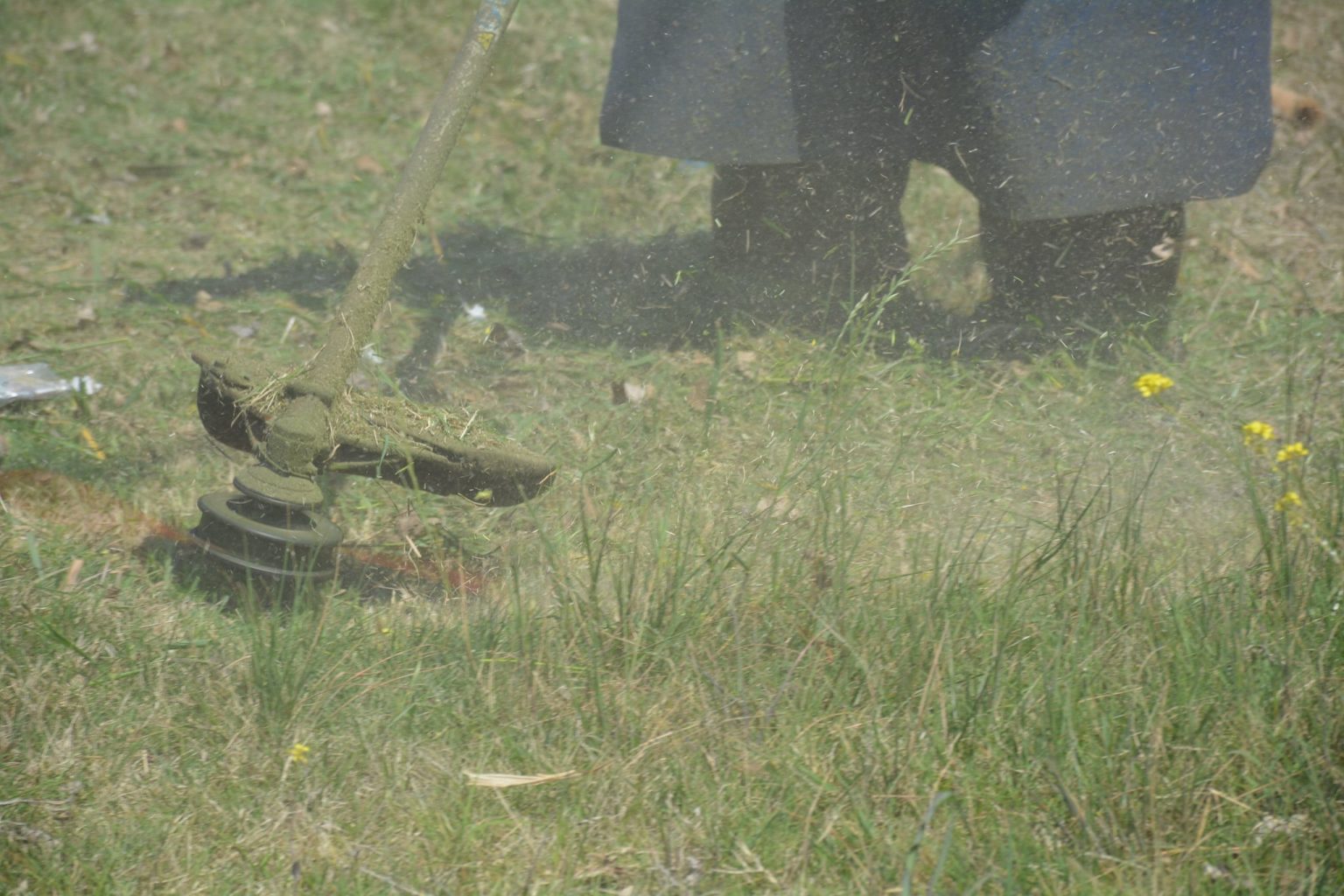 Recomendaciones sobre el mantenimiento de los terrenos y corte de pasto