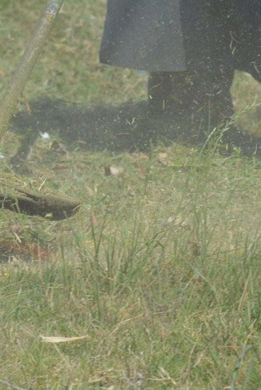 Recomendaciones sobre el mantenimiento de los terrenos y corte de pasto