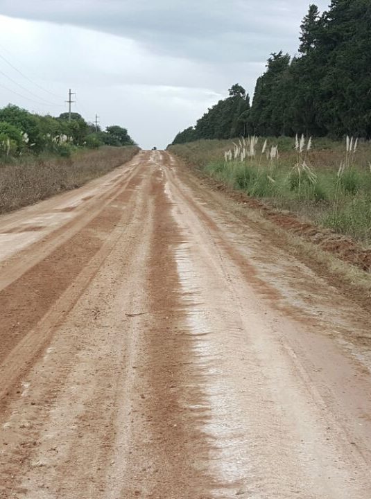 El Municipio licita la compra de broza destinada a diferentes obras, caminos vecinales y calles