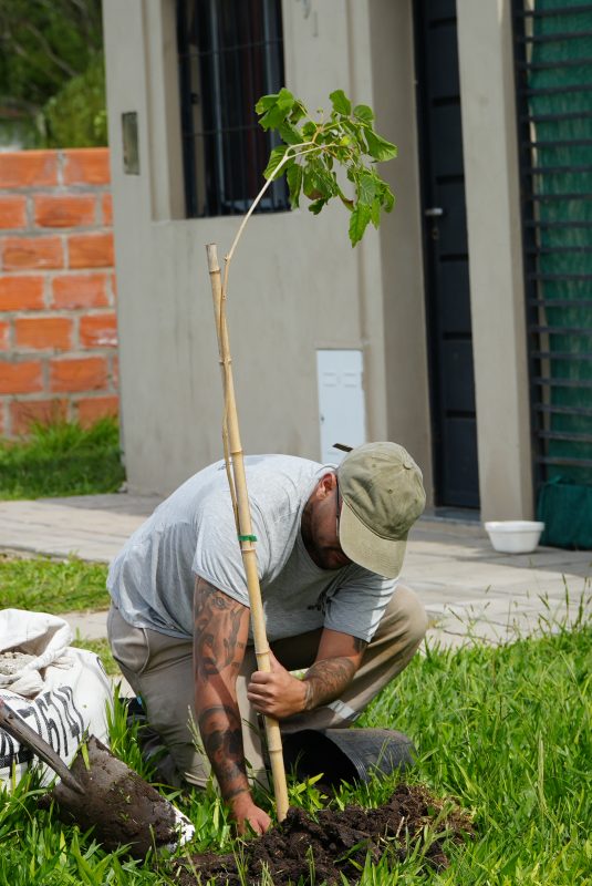 Podés solicitar la plantación de árboles frente a tu casa