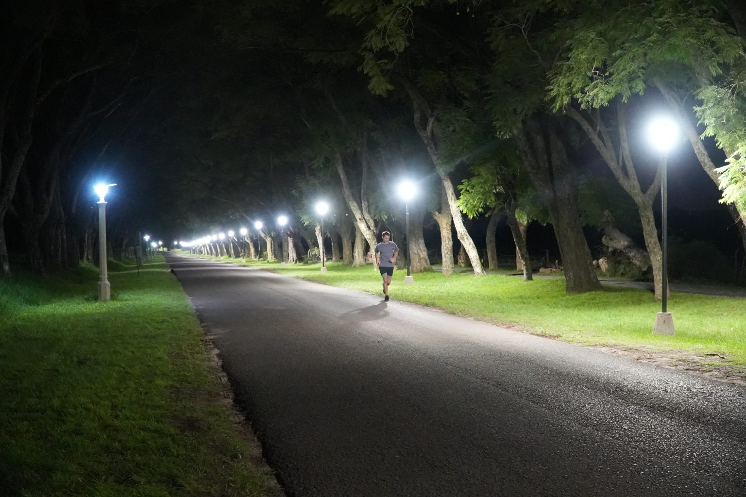 Avanza la obra de iluminación Led de la senda hacia la Escuela Alberdi