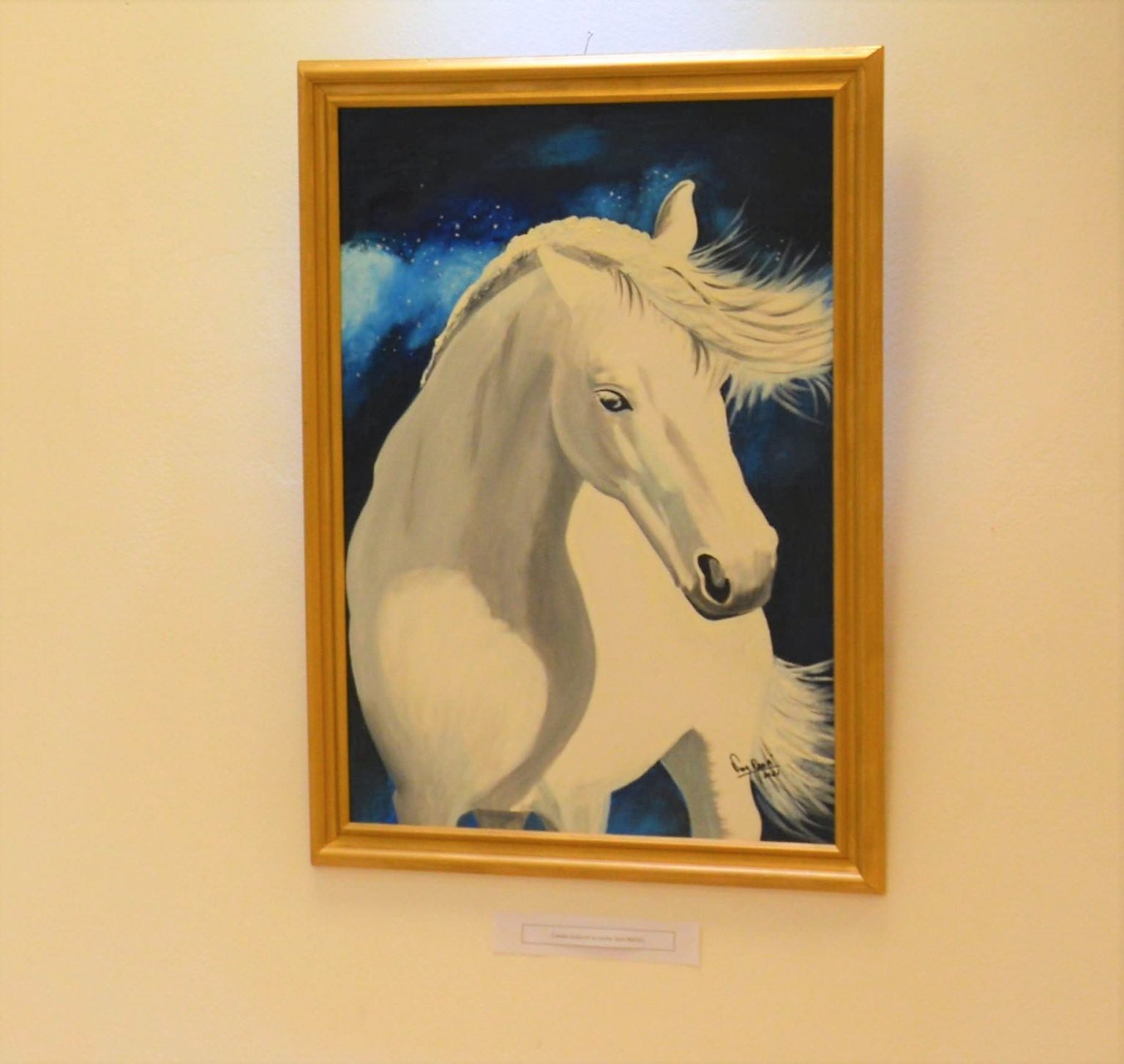 Inauguración de la muestra “Pinceladas vivificantes” en el Museo Conrado Haseanuer