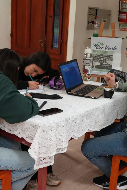 Apoyo escolar para fortalecer el camino educativo