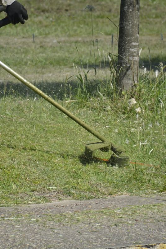 Recomendaciones sobre el mantenimiento de los terrenos y corte de pasto